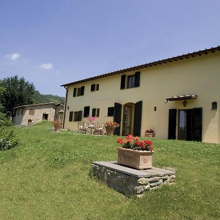 Tenuta Il Cerro Vicchio Bilik gambar