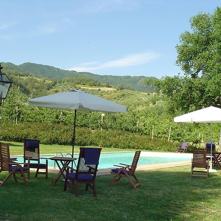 Tenuta Il Cerro Vicchio Bilik gambar