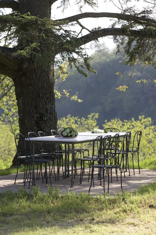 Tenuta Il Cerro Vicchio Bilik gambar
