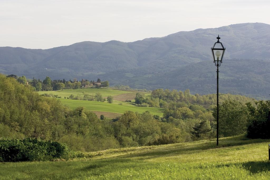 Tenuta Il Cerro Vicchio Bilik gambar