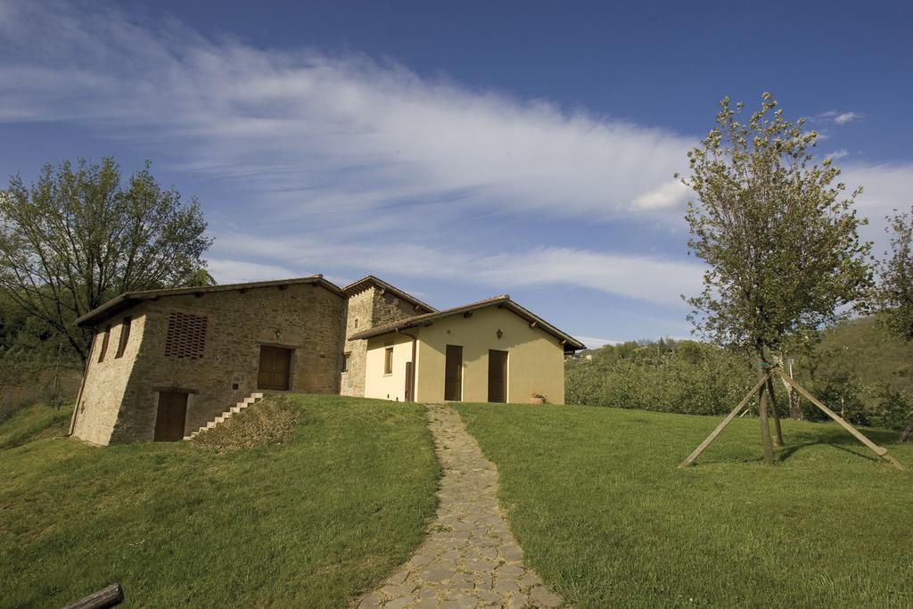 Tenuta Il Cerro Vicchio Bilik gambar